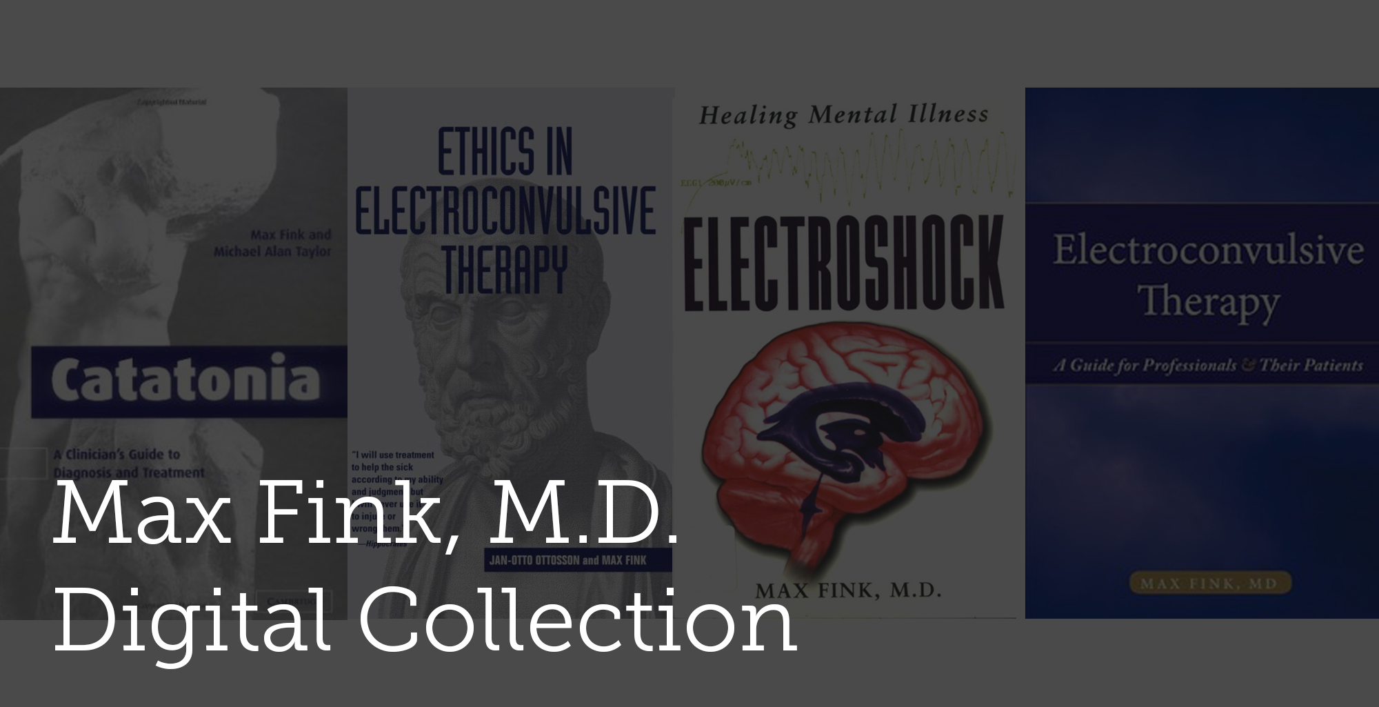 max fink digital project