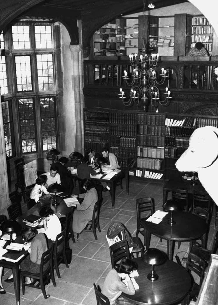 Interior of the library at Coe Hall, Oyster Bay 