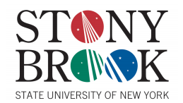 Stony brook logo with stars